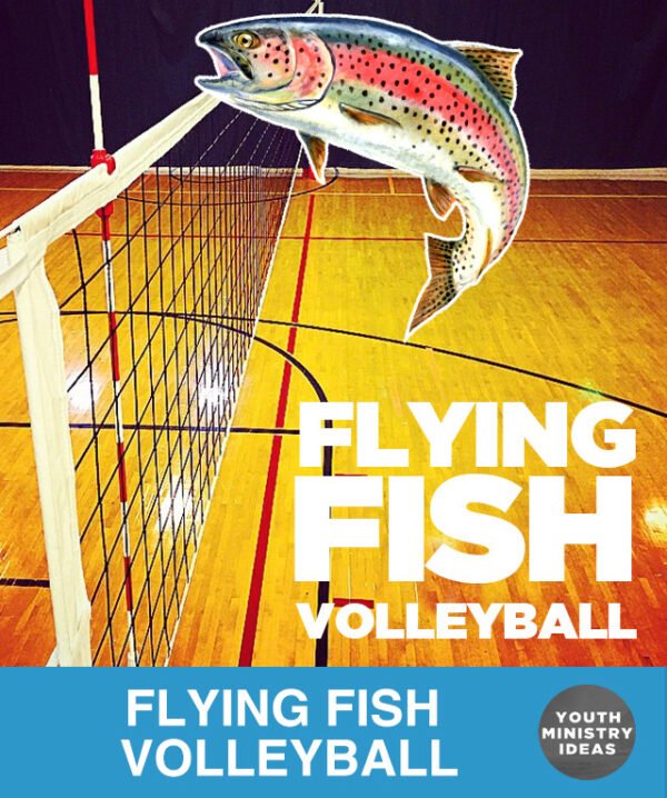 Flying Fish Volleyball Youth Downloads