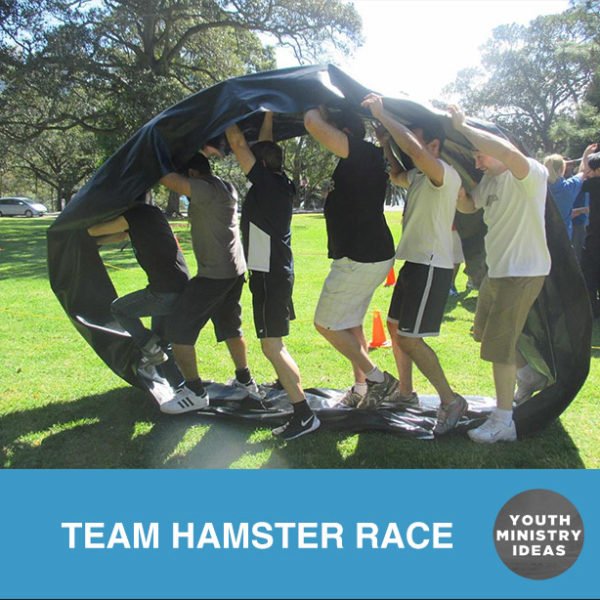 Team Hamster Race