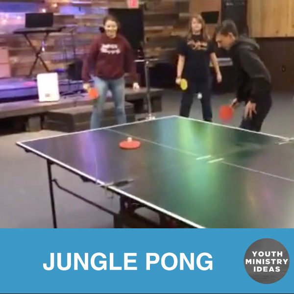 Jungle Pong