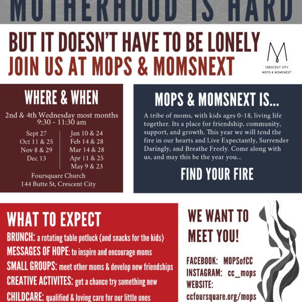 MOPS – Find Your Fire Flyer PSD